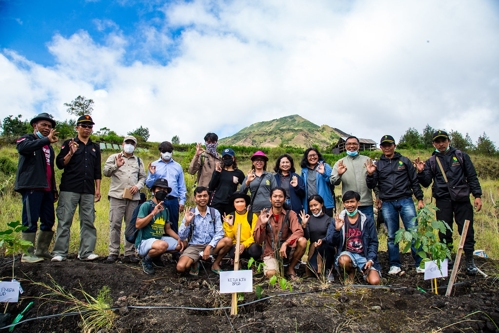 Group planting pongamia trees